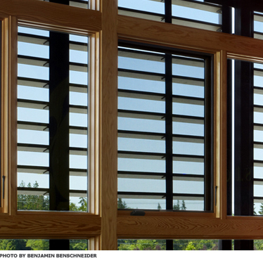 A window with adjustable blinds