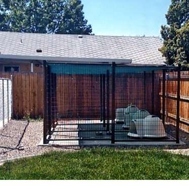 A shaded dog kennel in the corner of a yard