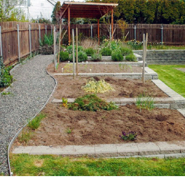 A gravel path next to beds of a vegetable garden