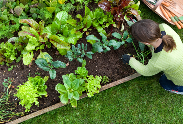 A woman gardening in a vegetable garden