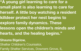A young girl learning to water and care for a small plant is also learning to care for herself. A little boy watching a resident killdeer protect her nest begins to explore family dynamics. These lessons open the children’s minds and hearts, and the healing begins.” [Shauna Bigelow, Shelter Children’s Counselor at Family Shelter Services in Downers Grove, IL]